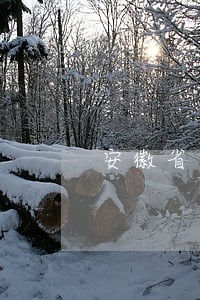 安徽省关于安全生产法规