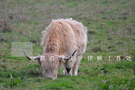 安徽省司法厅律师工作处