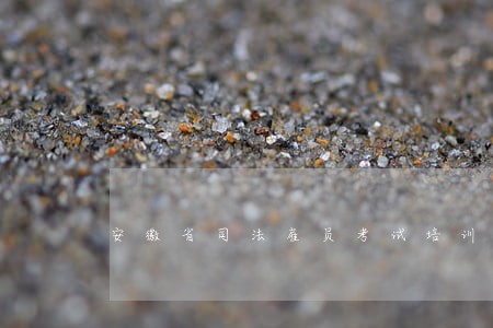 安徽省司法雇员考试培训 安徽省司法雇员考试培训