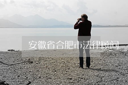 安徽省合肥市法律顾问 安徽省合肥市法律顾问