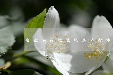 安徽省合肥建筑房产律师 安徽省合肥建筑房产律师