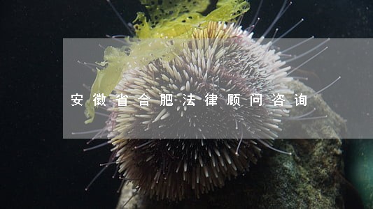 安徽省合肥法律顾问咨询 安徽省合肥法律顾问咨询