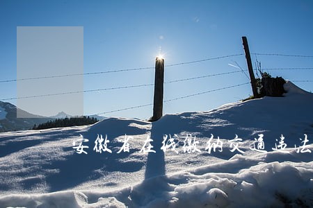 安徽省在线缴纳交通违法罚款 安徽省在线缴纳交通违法罚款