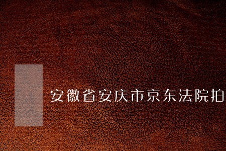 安徽省安庆市京东法院拍卖平台