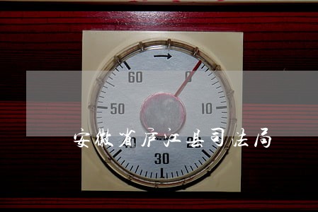安徽省庐江县司法局 安徽省庐江县司法局