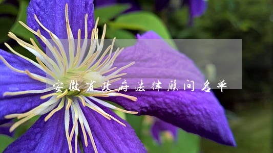 安徽省政府法律顾问名单 安徽省政府法律顾问名单