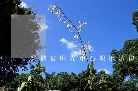 安徽省明光市石坝镇法律援助 安徽省明光市石坝镇法律援助