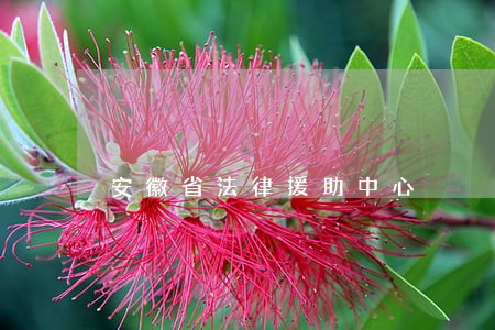 安徽省法律援助中心
