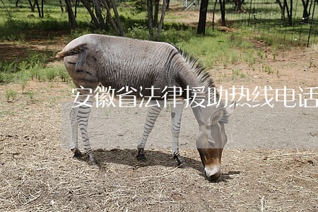 安徽省法律援助热线电话 安徽省法律援助热线电话
