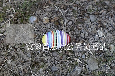 安徽省法院公务员考试 安徽省法院公务员考试
