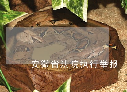 安徽省法院执行举报
