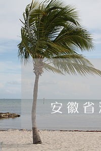 安徽省滁州市违法 安徽省滁州市违法