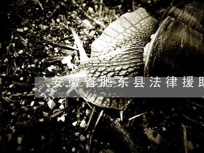 安徽省肥东县法律援助中心怎么样 安徽省肥东县法律援助中心怎么样