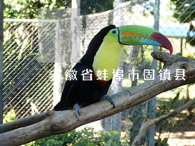 安徽省蚌埠市固镇县 安徽省蚌埠市固镇县