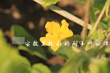 安徽省较好的刑事诉讼律师多少钱 安徽省较好的刑事诉讼律师多少钱