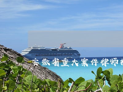 安徽省重大案件律师推荐尽善尽美 安徽省重大案件律师推荐尽善尽美