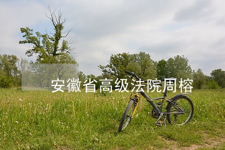 安徽省高级法院周榕 安徽省高级法院周榕