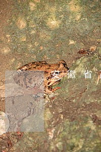 安徽省高院发布诉讼保全管理制度 安徽省高院发布诉讼保全管理制度