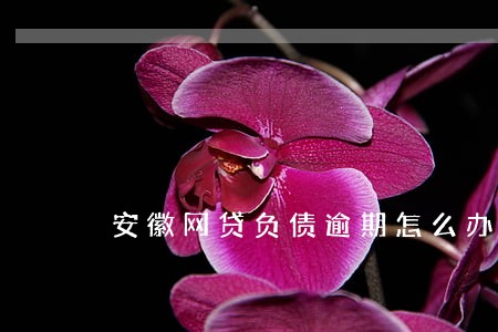 安徽网贷负债逾期怎么办 安徽网贷负债逾期怎么办