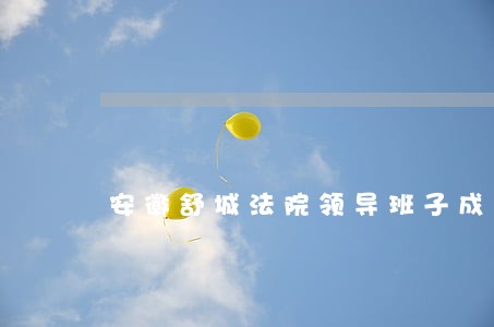 安徽舒城法院领导班子成员 安徽舒城法院领导班子成员
