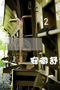 安徽舒城违法建房