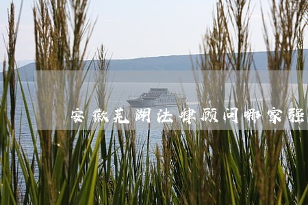 安徽芜湖法律顾问哪家强 安徽芜湖法律顾问哪家强