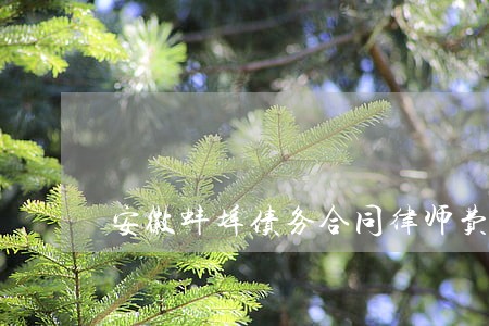 安徽蚌埠债务合同律师费怎么算 安徽蚌埠债务合同律师费怎么算