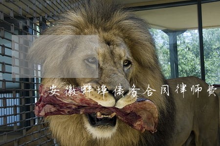 安徽蚌埠债务合同律师费用多少 安徽蚌埠债务合同律师费用多少