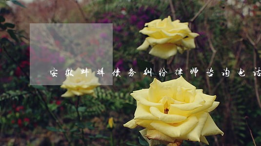 安徽蚌埠债务纠纷律师咨询电话 安徽蚌埠债务纠纷律师咨询电话