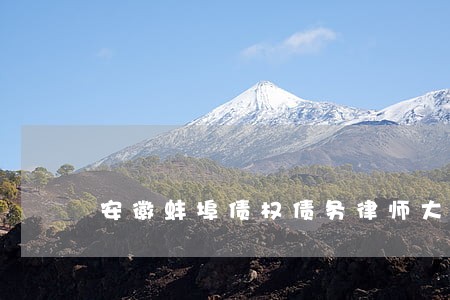 安徽蚌埠债权债务律师大概多少钱 安徽蚌埠债权债务律师大概多少钱