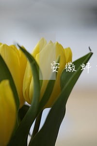 安徽蚌埠债权债务律师排名 安徽蚌埠债权债务律师排名