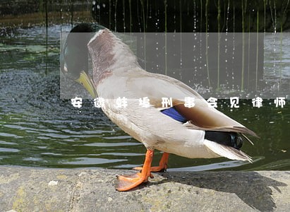 安徽蚌埠刑事会见律师咨询网站 安徽蚌埠刑事会见律师咨询网站