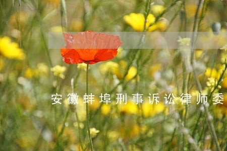 安徽蚌埠刑事诉讼律师委托咨询