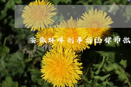 安徽蚌埠刑事诉讼律师微信咨询 安徽蚌埠刑事诉讼律师微信咨询