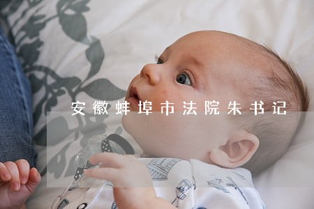安徽蚌埠市法院朱书记
