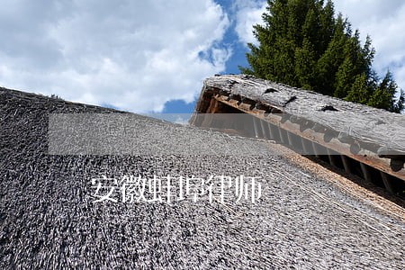 安徽蚌埠律师 安徽蚌埠律师