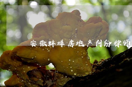 安徽蚌埠房地产纠纷律师 安徽蚌埠房地产纠纷律师