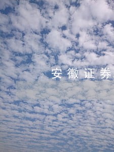安徽证券维权律师 安徽证券维权律师