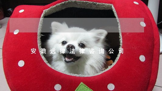 安徽远律法律咨询公司 安徽远律法律咨询公司
