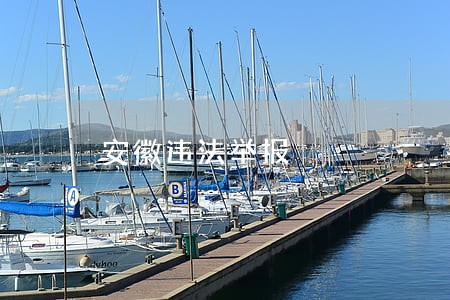 安徽违法举报