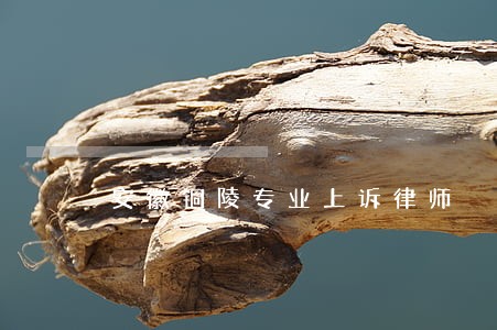安徽铜陵专业上诉律师 安徽铜陵专业上诉律师