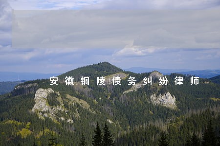 安徽铜陵债务纠纷律师