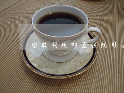 安徽铜陵郊区法院司法拍卖出大单 安徽铜陵郊区法院司法拍卖出大单