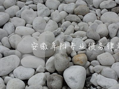 安徽阜阳专业债务律师咨询电话