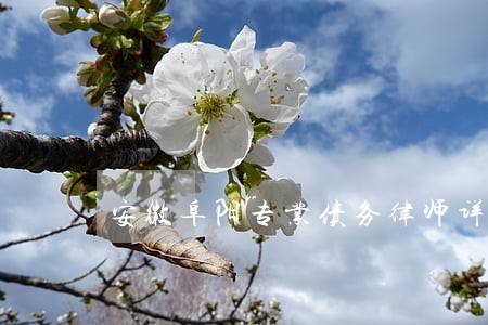 安徽阜阳专业债务律师详情咨询