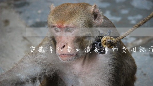 安徽阜阳专业债务律师费用标准 安徽阜阳专业债务律师费用标准