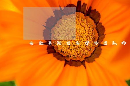 安徽阜阳债务律师团队哪个好 安徽阜阳债务律师团队哪个好