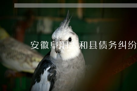 安徽阜阳太和县债务纠纷律师