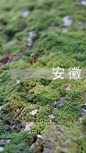 安徽阜阳婚姻律师咨询 安徽阜阳婚姻律师咨询