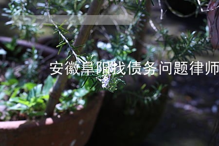 安徽阜阳找债务问题律师咨询热线
